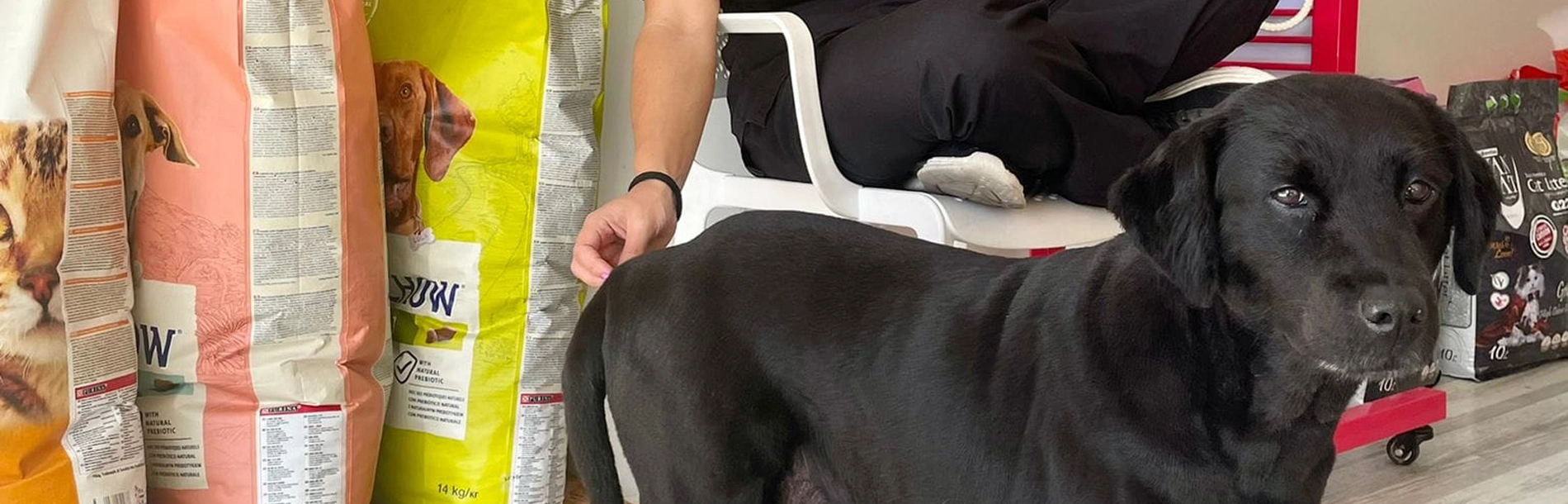 Horário de Funcionamento