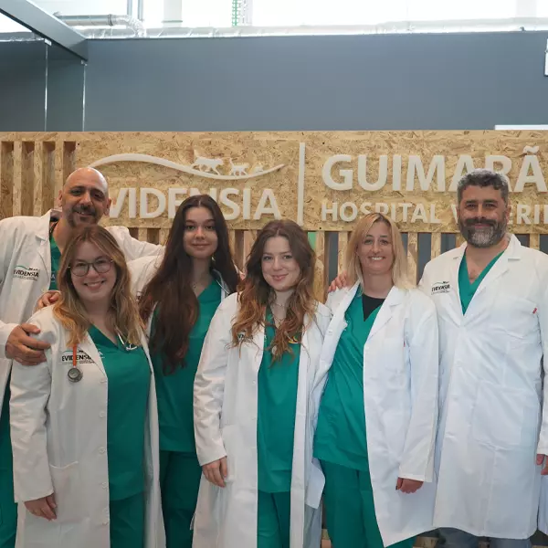 Evidensia Guimarães Hospital Veterinário