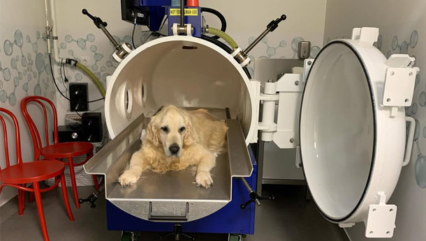 Câmara Hiperbárica