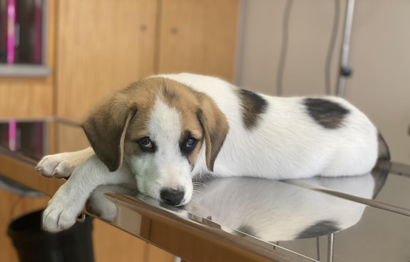 Horário de Funcionamento