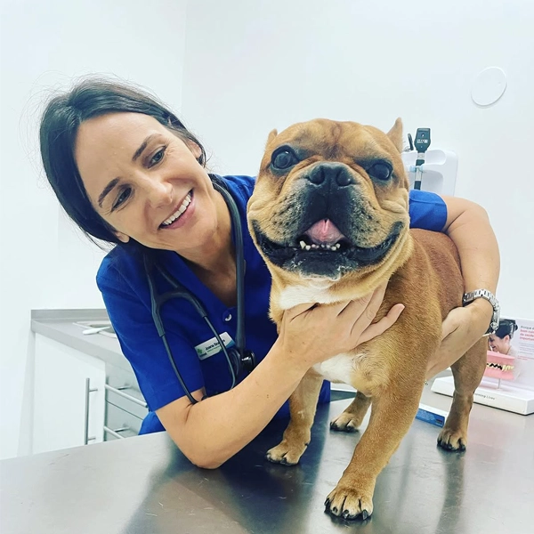 ANIMED – Hospital Veterinário de Gondomar