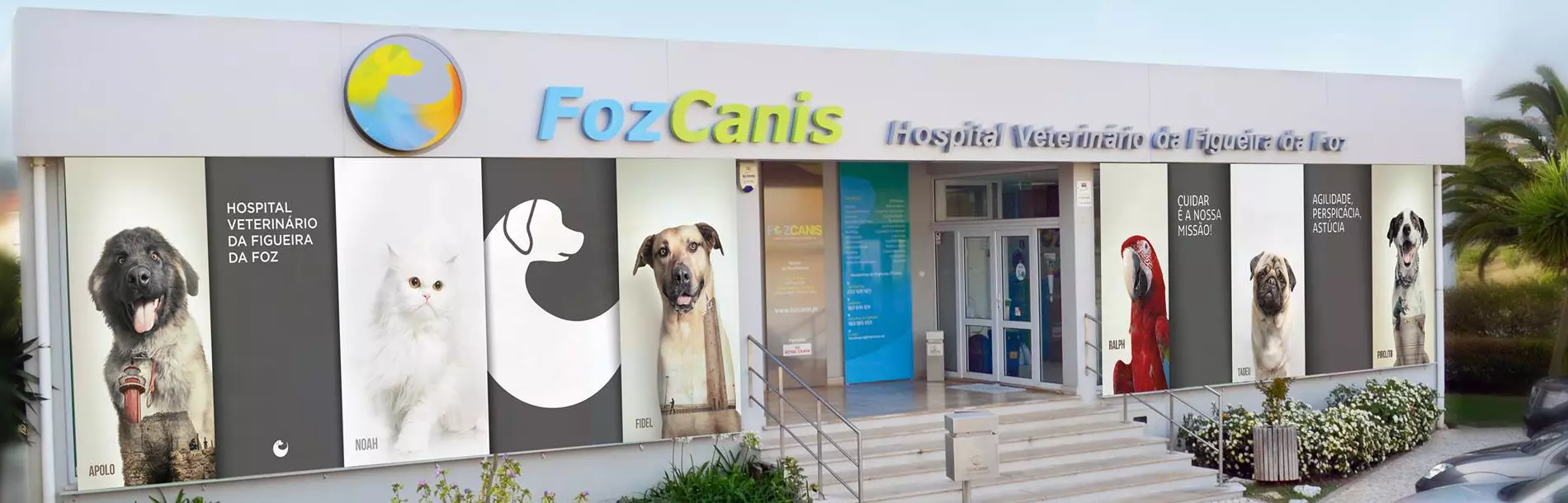 FozCanis - Hospital Veterinário da Figueira da Foz 