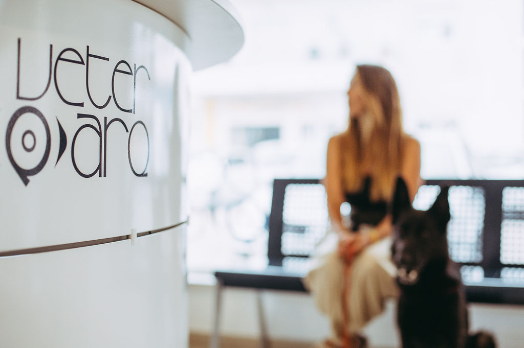 Veterarq Consultório Veterinário