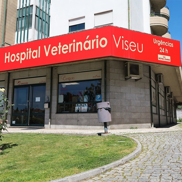 Hospital Veterinário de Viseu