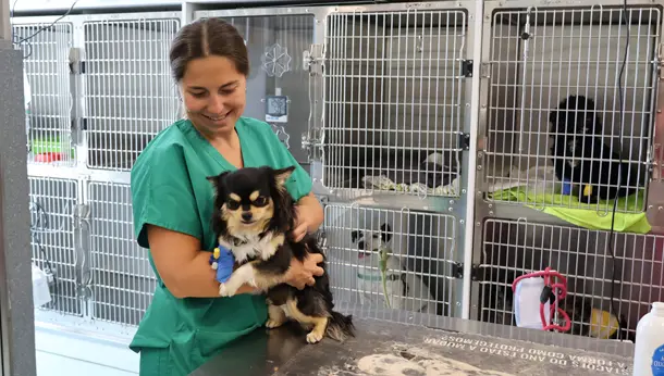 Evidensia Alcabideche Hospital Veterinário