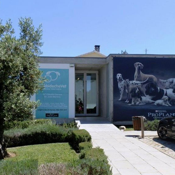 AlcabidecheVet Clínica Veterinária