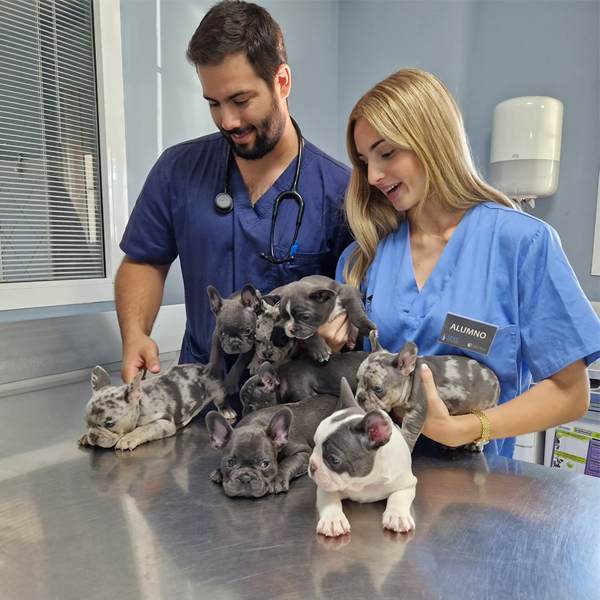 Hospital Veterinario La Arboleda 