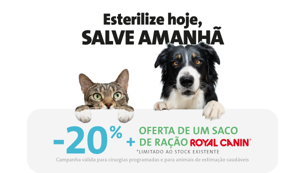 Campanha Esterilização
