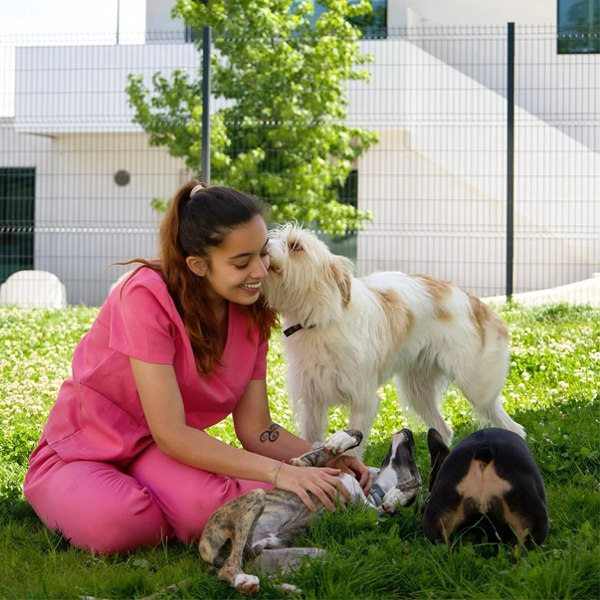 Amipet Centro Veterinário de Viseu