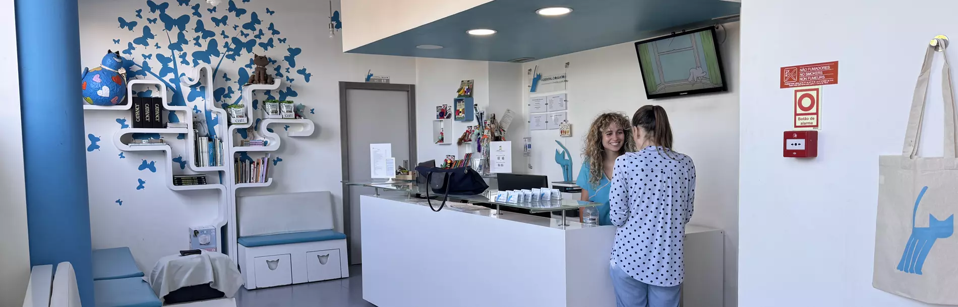 Hospital do Gato