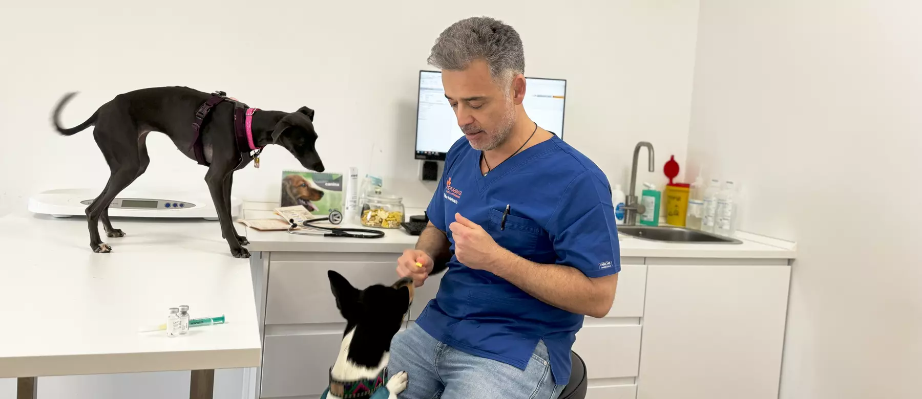 Serviços Médico-Veterinários Evidensia
