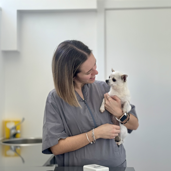 Campanha de Esterilização