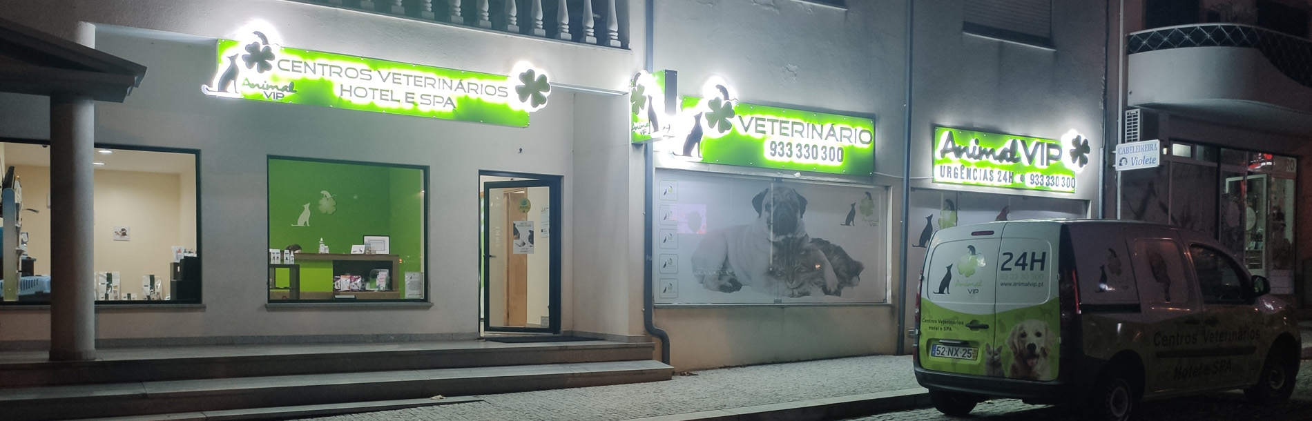 Animal VIP - Centro Veterinário de Castro Daire