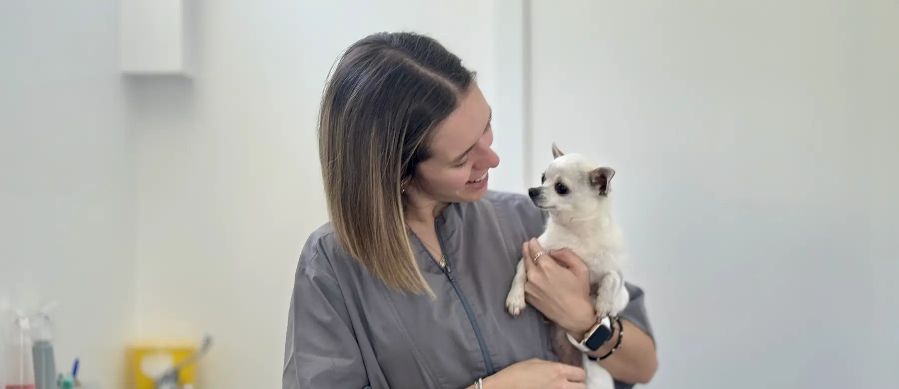 Campanha de Esterilização de Animais de Companhia