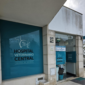 Cão de Ló - Hospital Veterinário Central das Caldas da Rainha integra IVC Evidensia Portugal