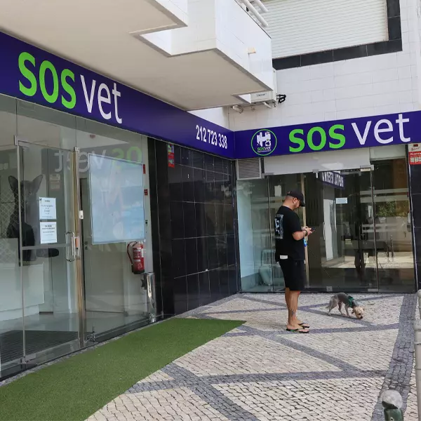 Hospital Veterinário SOSVET Almada