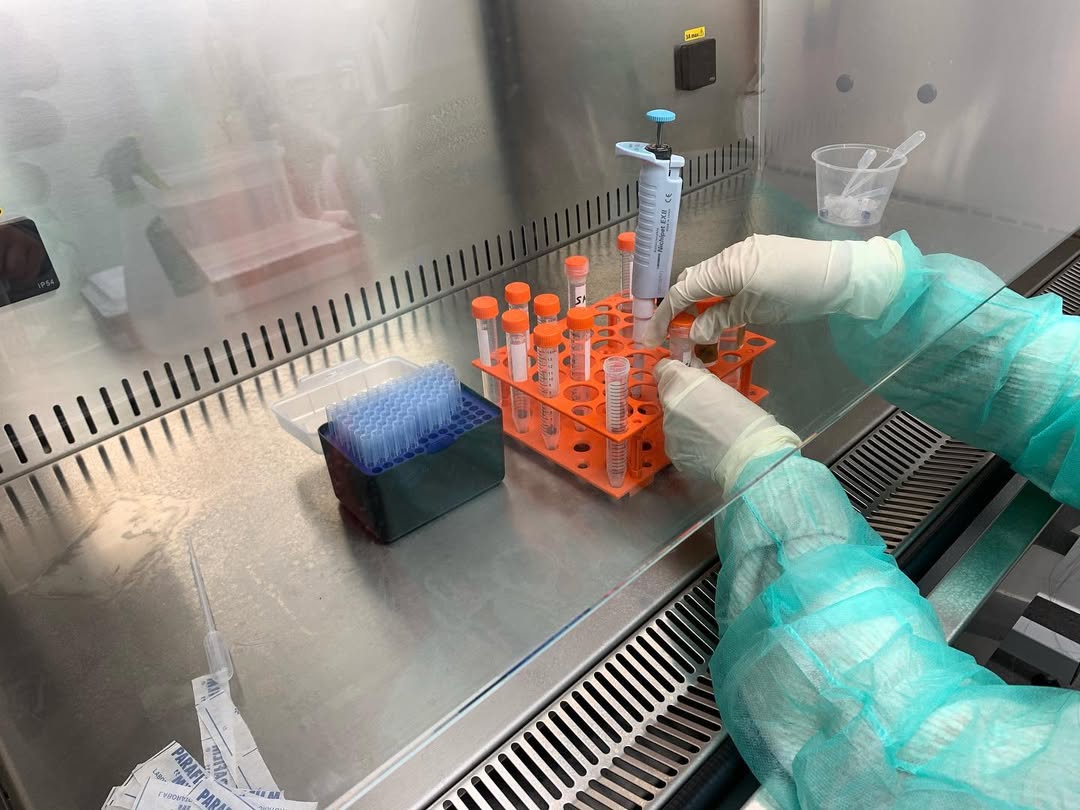 Medicina Regenerativa