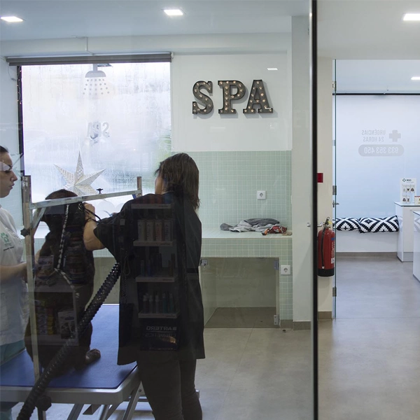 VET SPA Porto