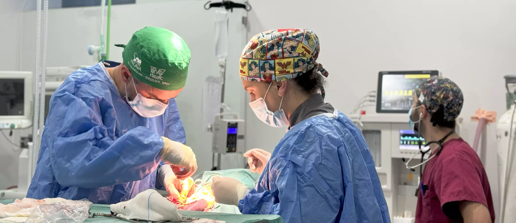 Urgências Veterinárias