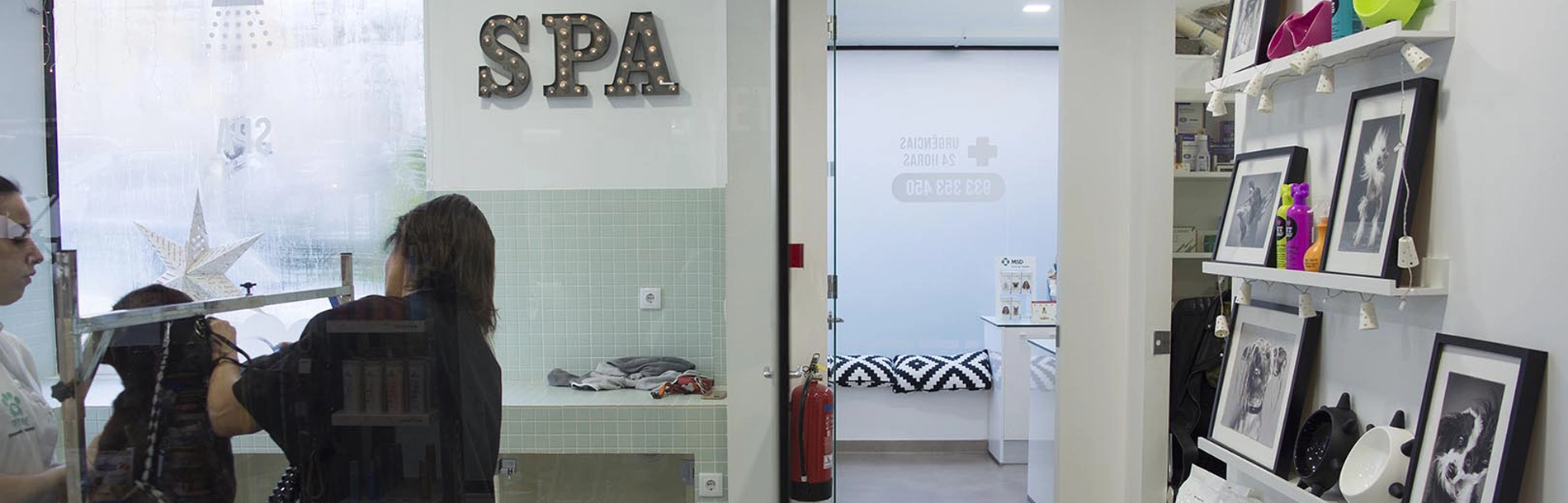 VET SPA Porto